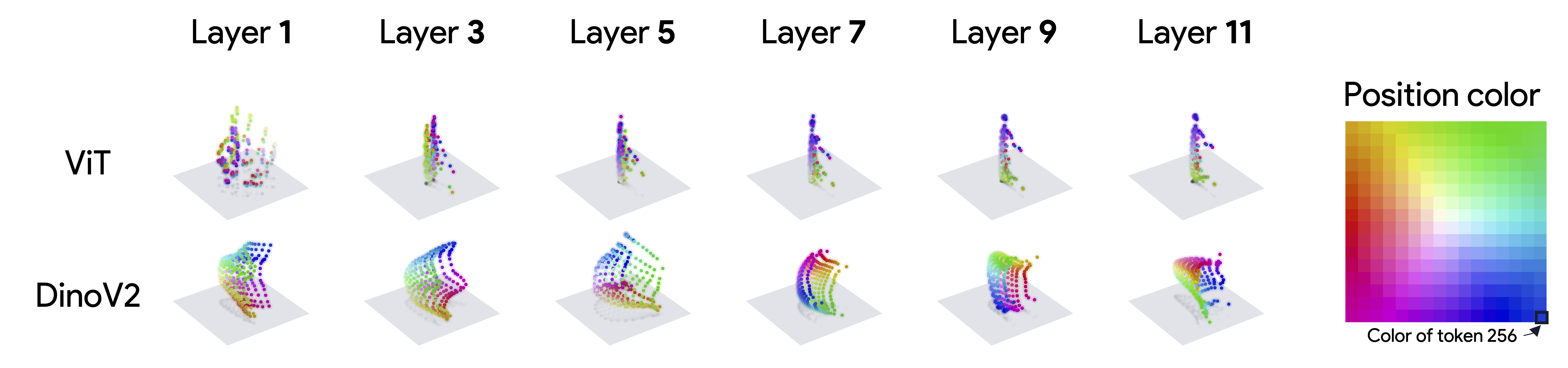 3D positional manifolds across layers for ViT and DINOv2.