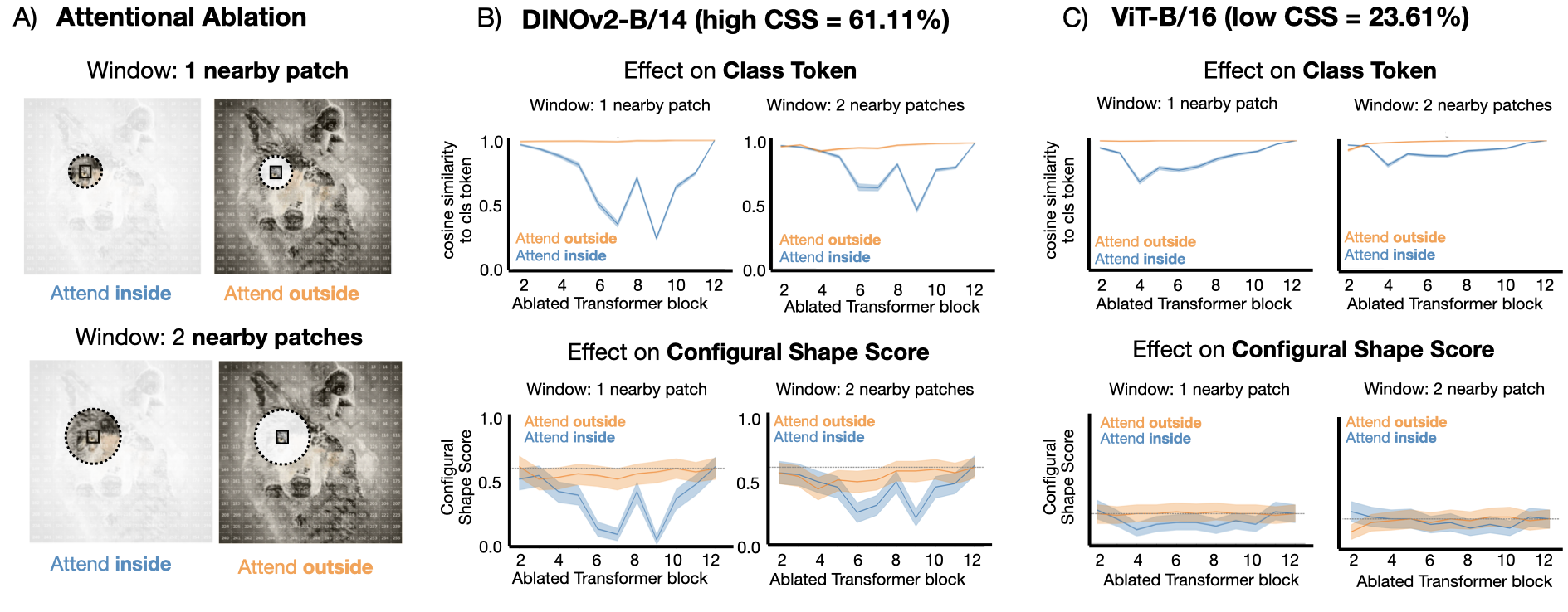 Configural Shape Score across models