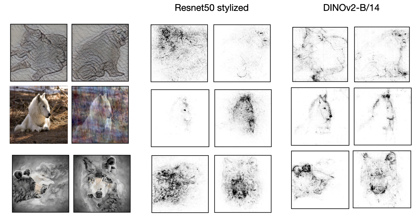 Configural Shape Score across models