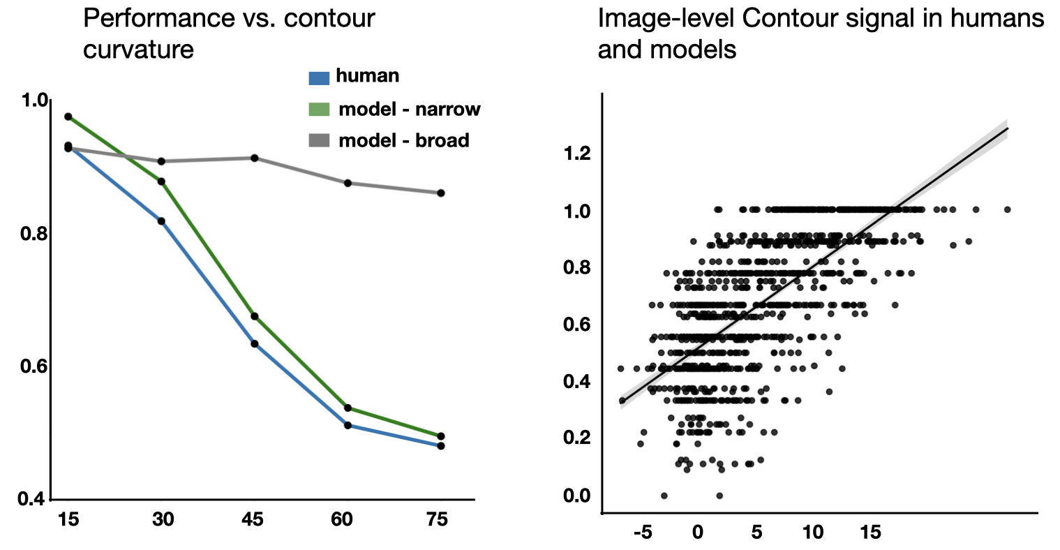 Feedforward Contour